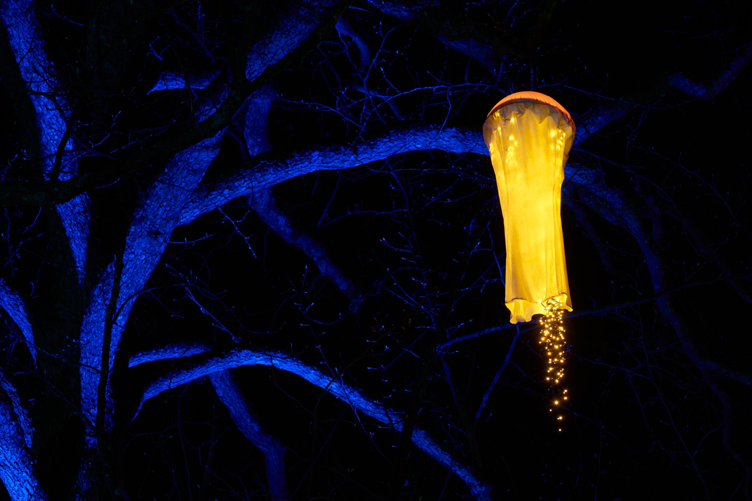 2024 02 23 Parkleuchten 0093